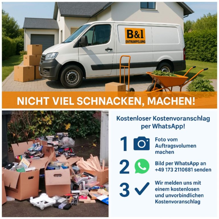 B.1 Transportfahrzeug mit Kartons, daneben eine große Menge unordentlich abgelegter Kartons.